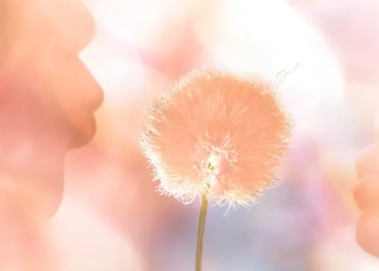Peach Fuzz : la couleur Pantone 2024 signe une année tout en douceur