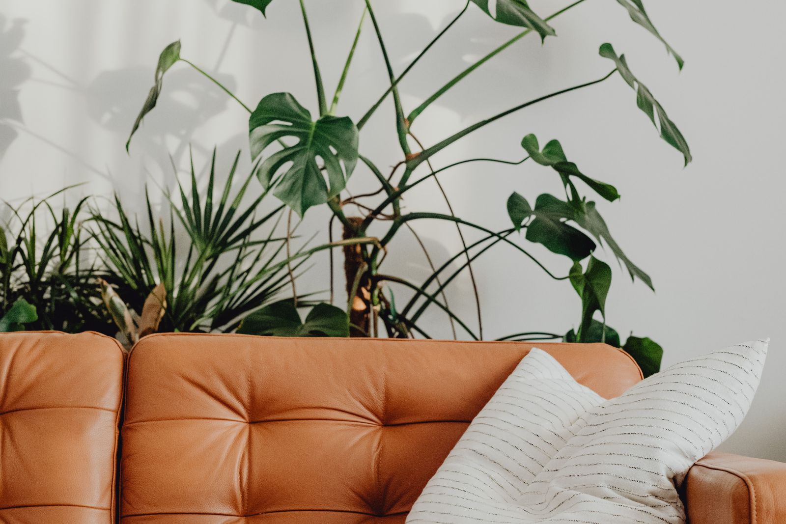 Ce canapé qu’on voyait partout : pourquoi les décorateurs ne veulent plus en entendre parler