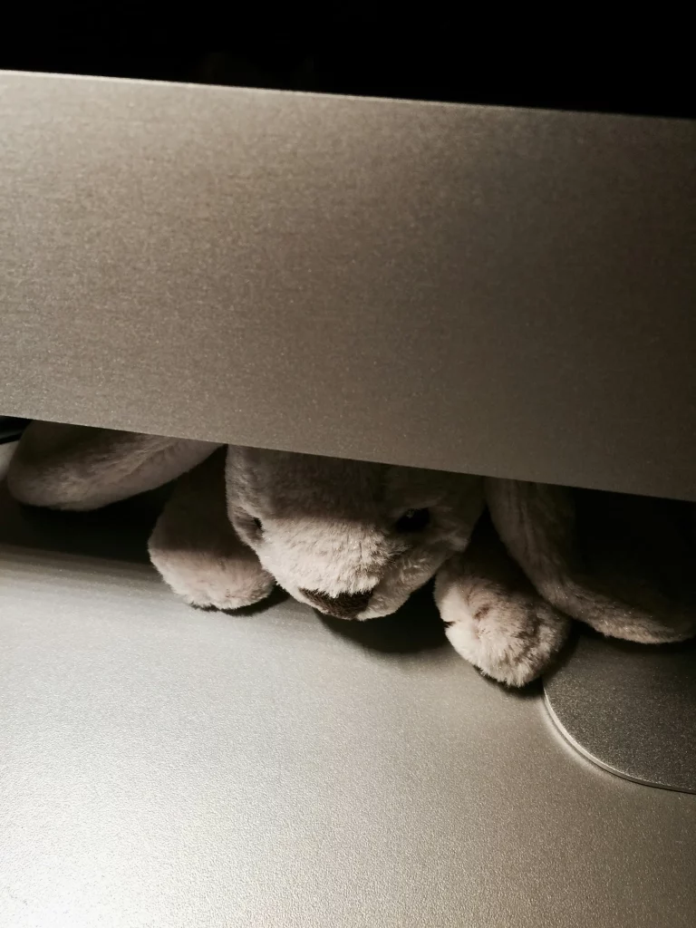 Peluche sous le lit 