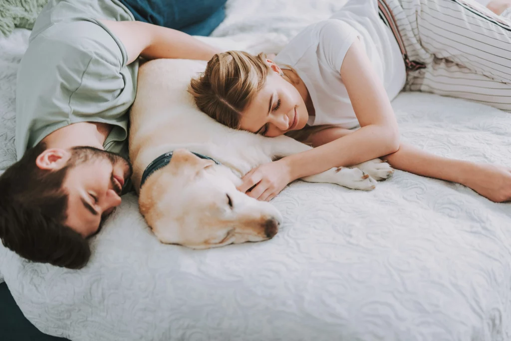 Couple dormant avec leur chien dans leur lit
