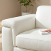 Hand cleaning a white leather sofa with a cloth. Lemon water on a wooden table. Bright room with natural light and a blurred plant.